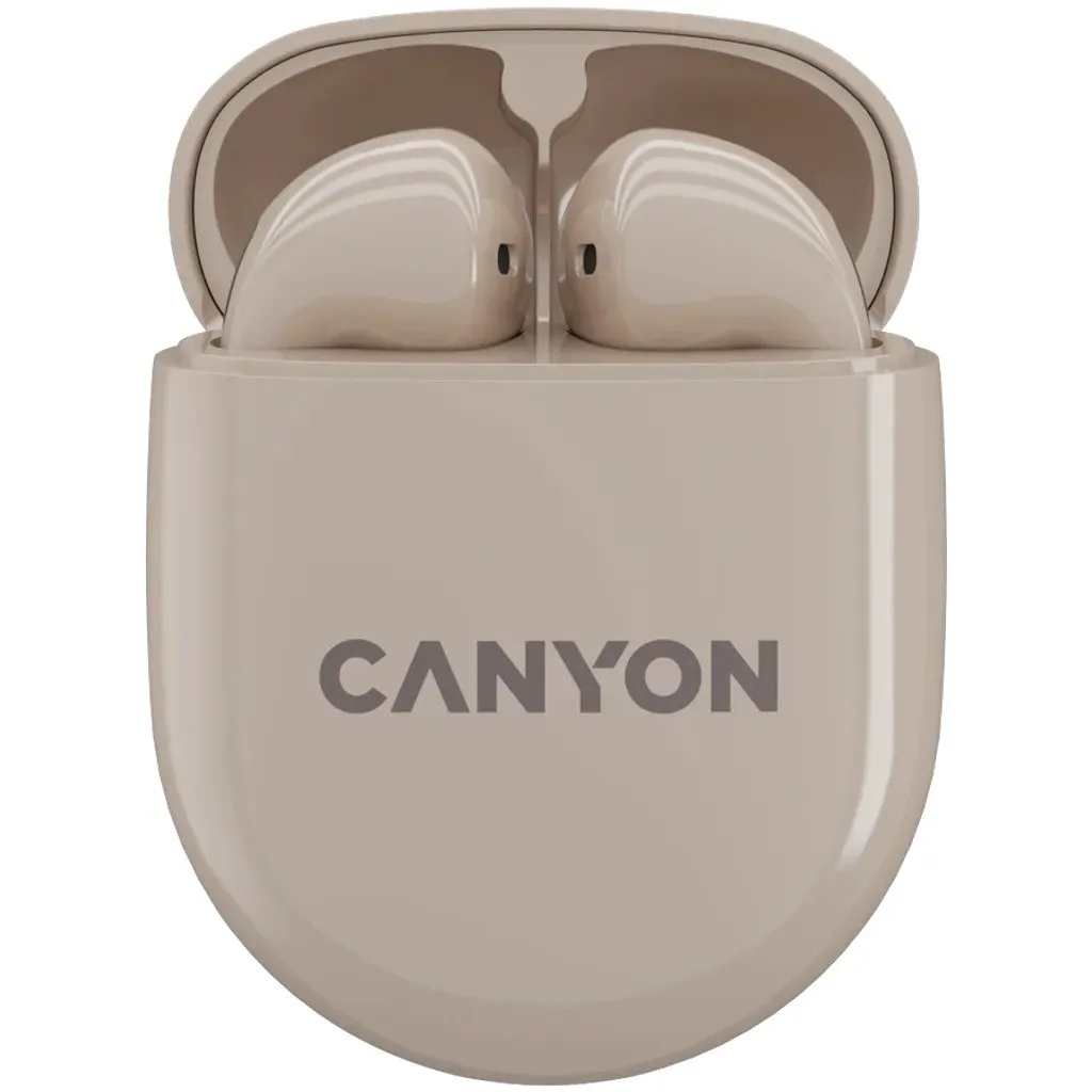 Наушники Canyon TWS6 черный (CNS-TWS6B)