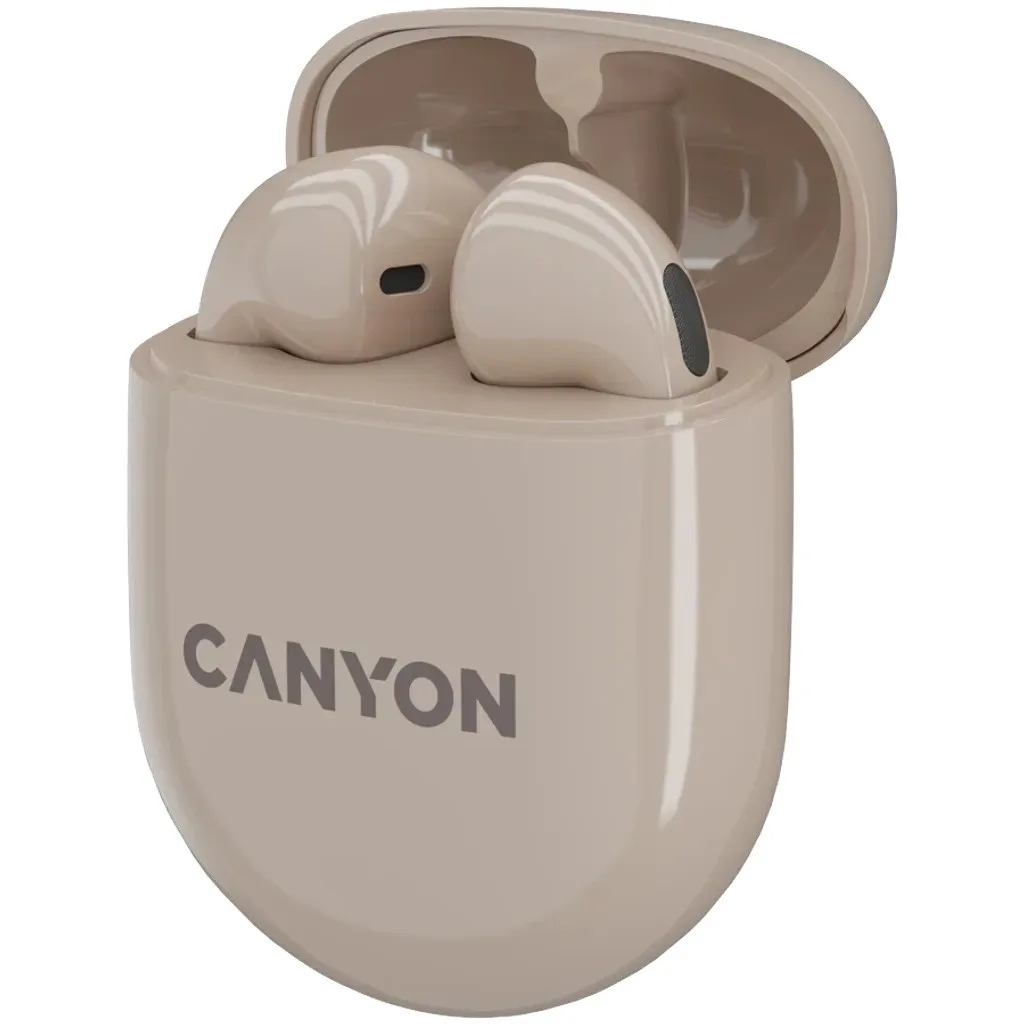 Наушники Canyon TWS6 черный (CNS-TWS6B)