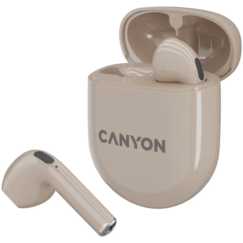 Наушники Canyon TWS6 черный (CNS-TWS6B)