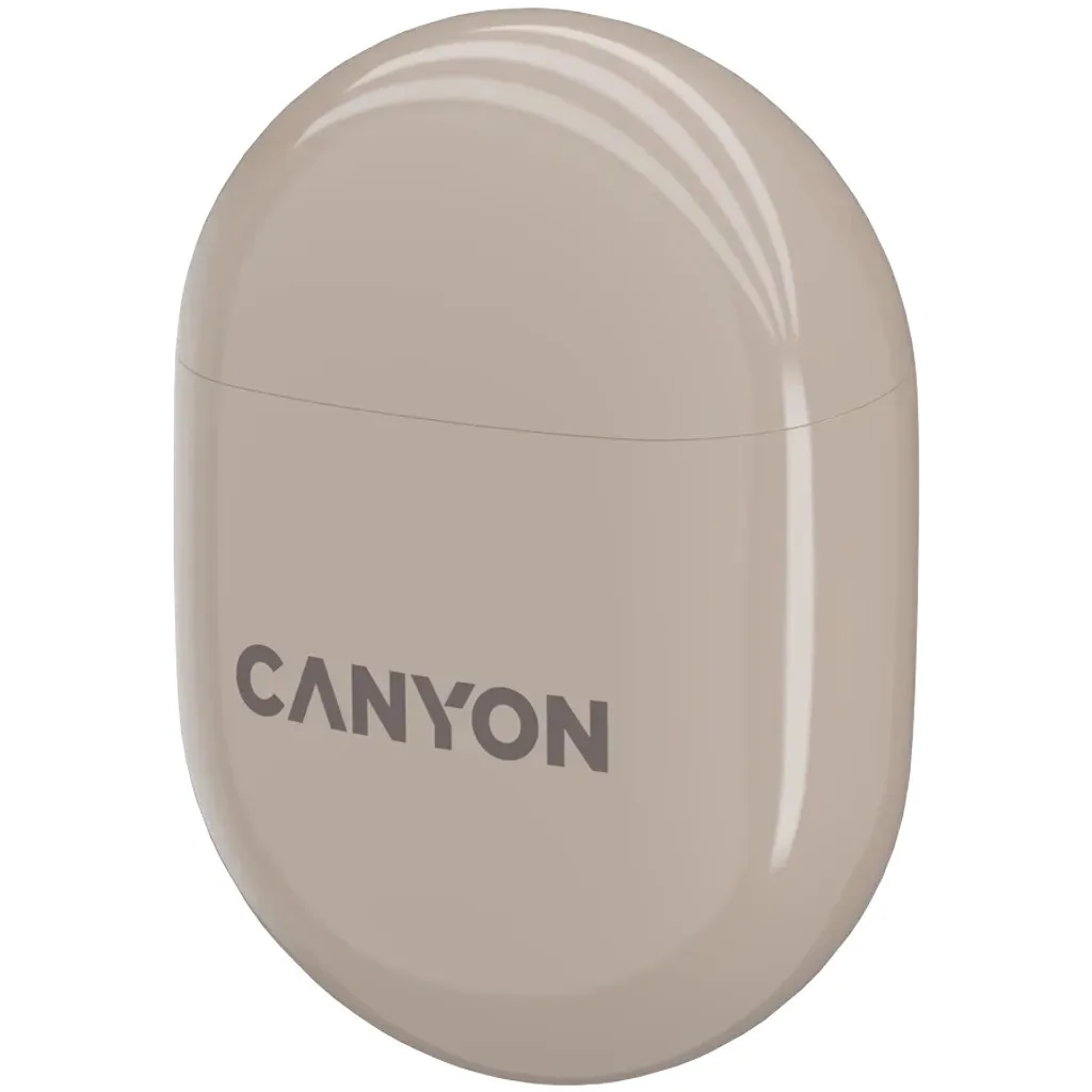 Наушники Canyon TWS6 черный (CNS-TWS6B)