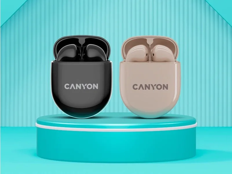 Наушники Canyon TWS6 черный (CNS-TWS6B)