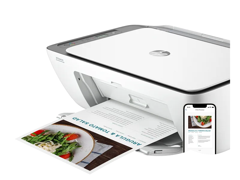 Printer HP DeskJet Ink Advantage 2876 AIO