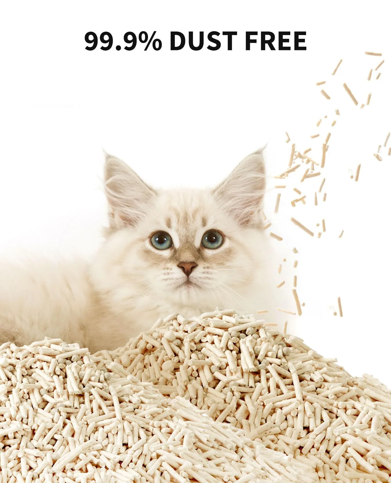 PETKIT Occult Blood Test Mixed Cat Litter