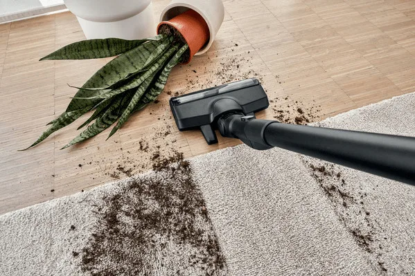 Вертикальный пылесос Bosch BCS82BL24