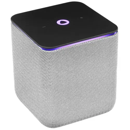 Умная станция Yandex Midi (YNDX-00054GRY)