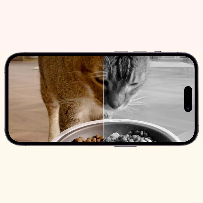 Petkit Yumshare Dual Hopper with Camera Smart Pet Feeder