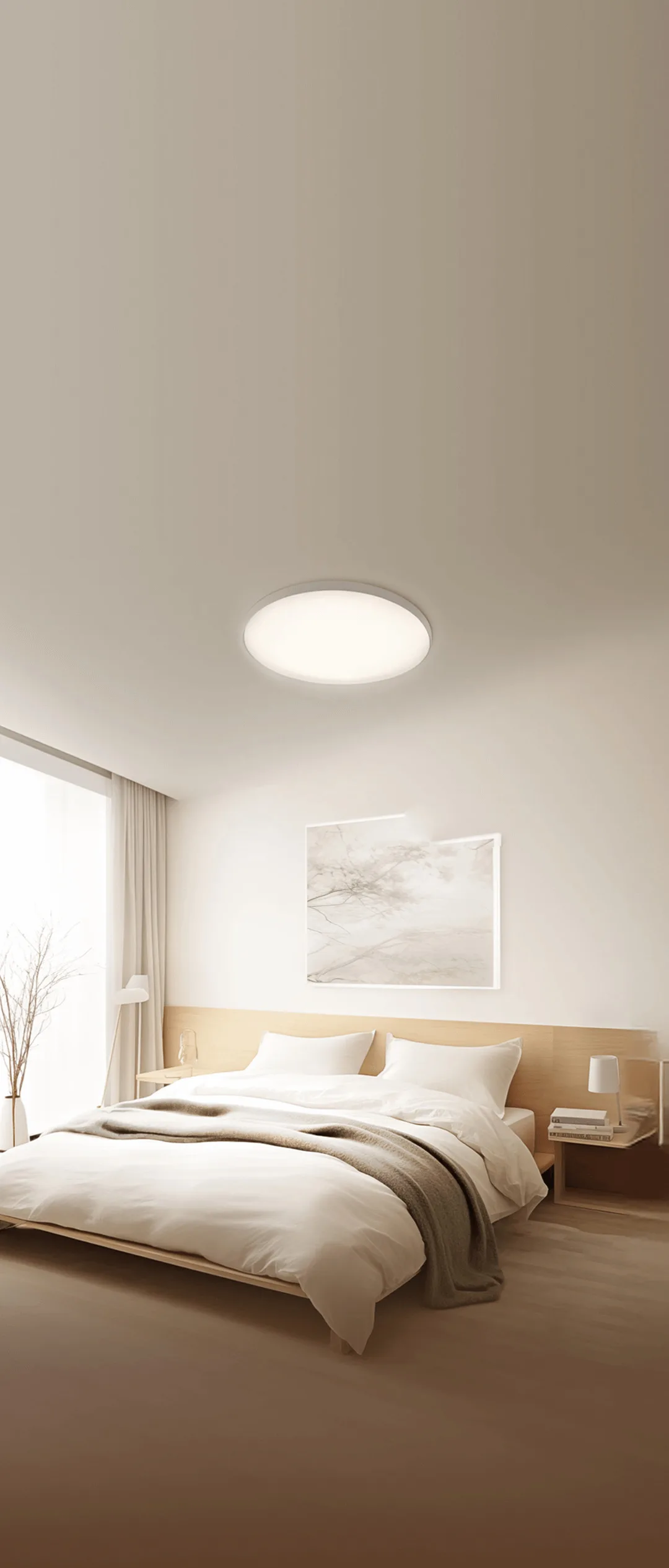 Умное освещение Xiaomi Smart Ceiling Light D30 (BHR9934GL)