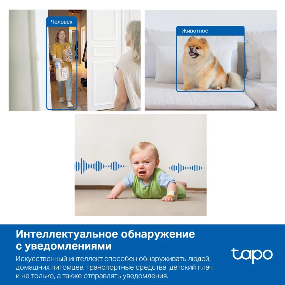 Təhlükəsizlik Kamerası TP-Link - TAPO C125