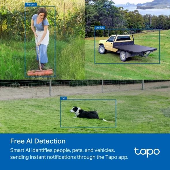 Təhlükəsizlik Kamerası TP-Link - TAPO C501GW