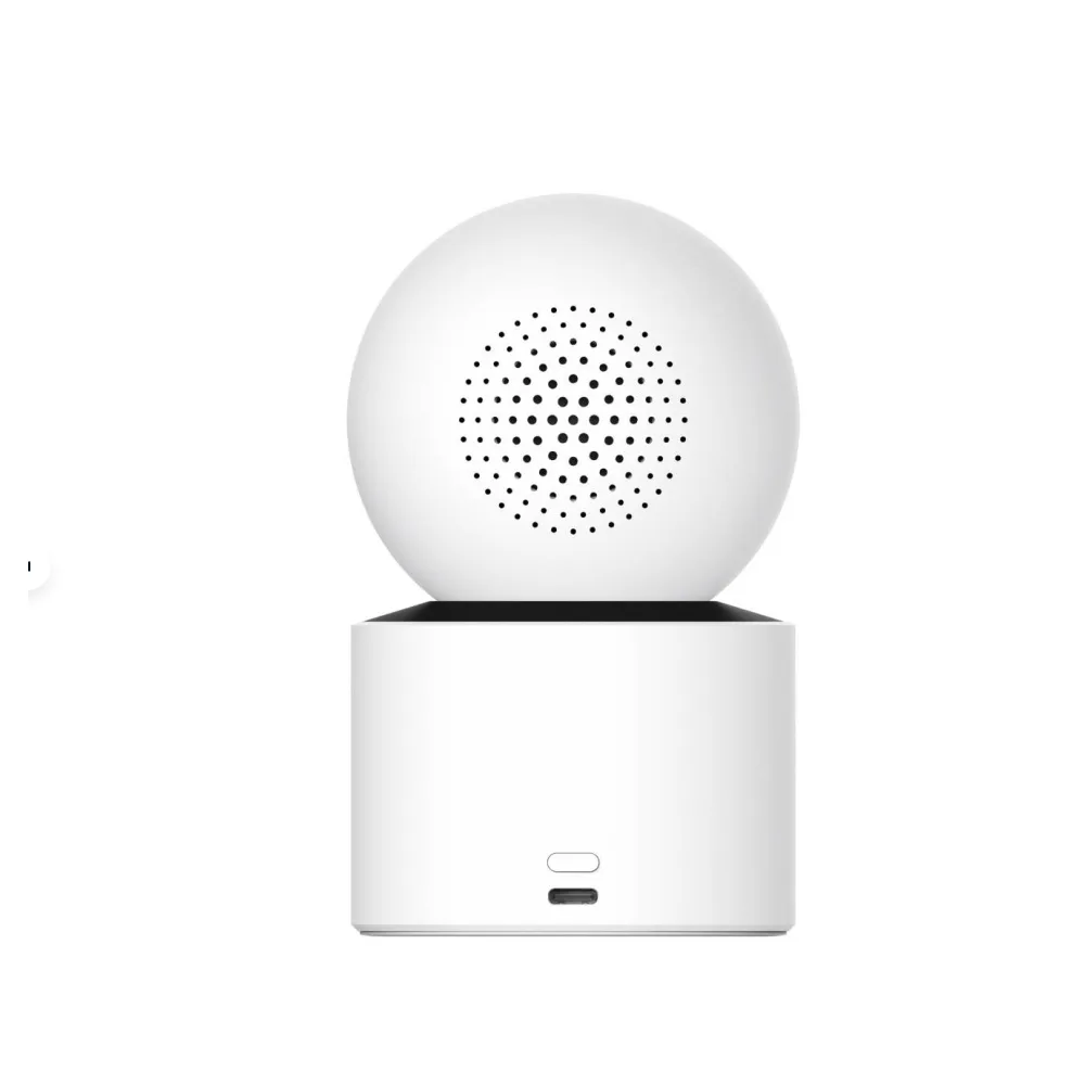 Камера видеонаблюдения Xiaomi Smart Camera C300 Dual