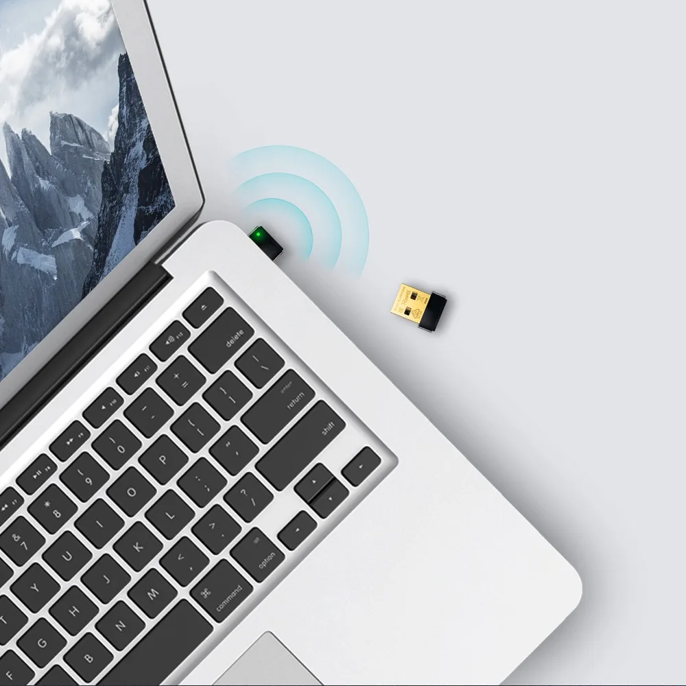 Беспроводной USB-адаптер TP-Link TL-WN725N