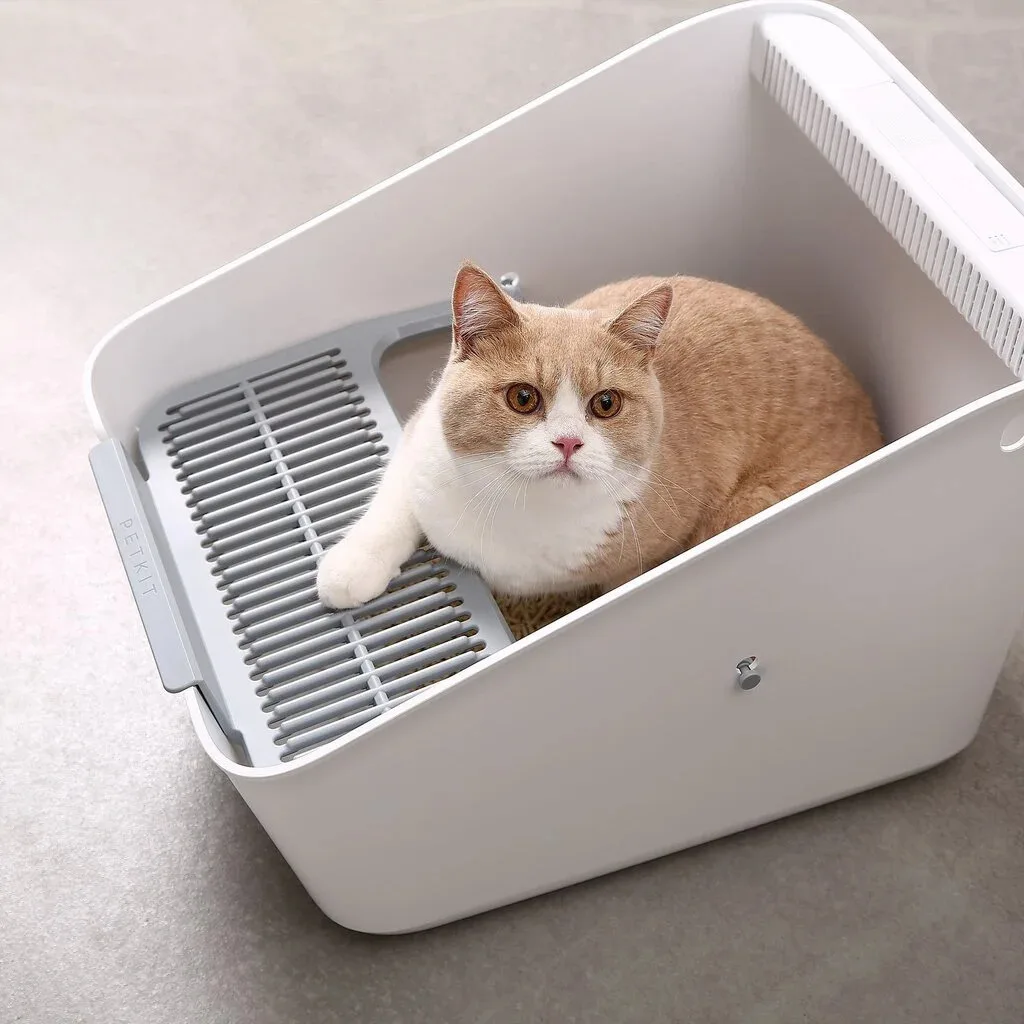 Petkit Pura Cat