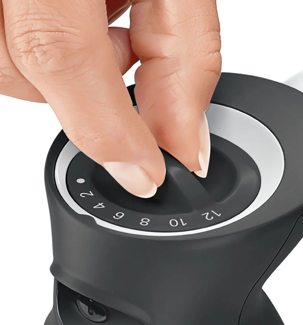 Блендеры BOSCH MS6CA4150