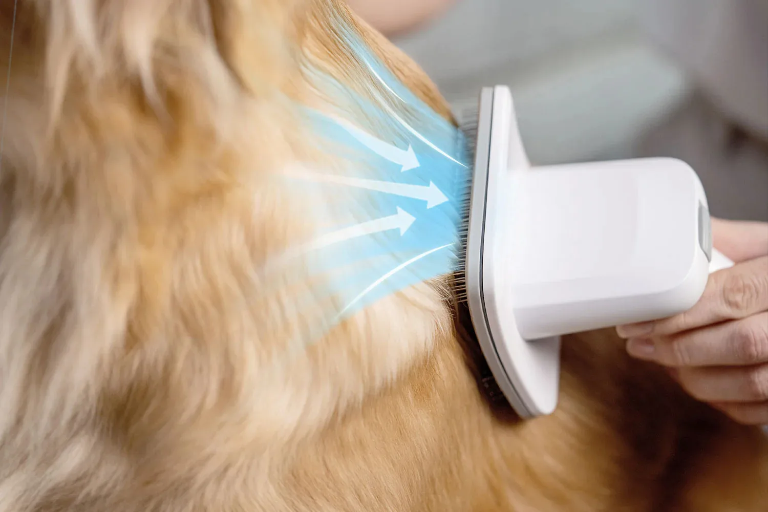 Petkit Pet Grooming Vacuum Kit 5-in-1