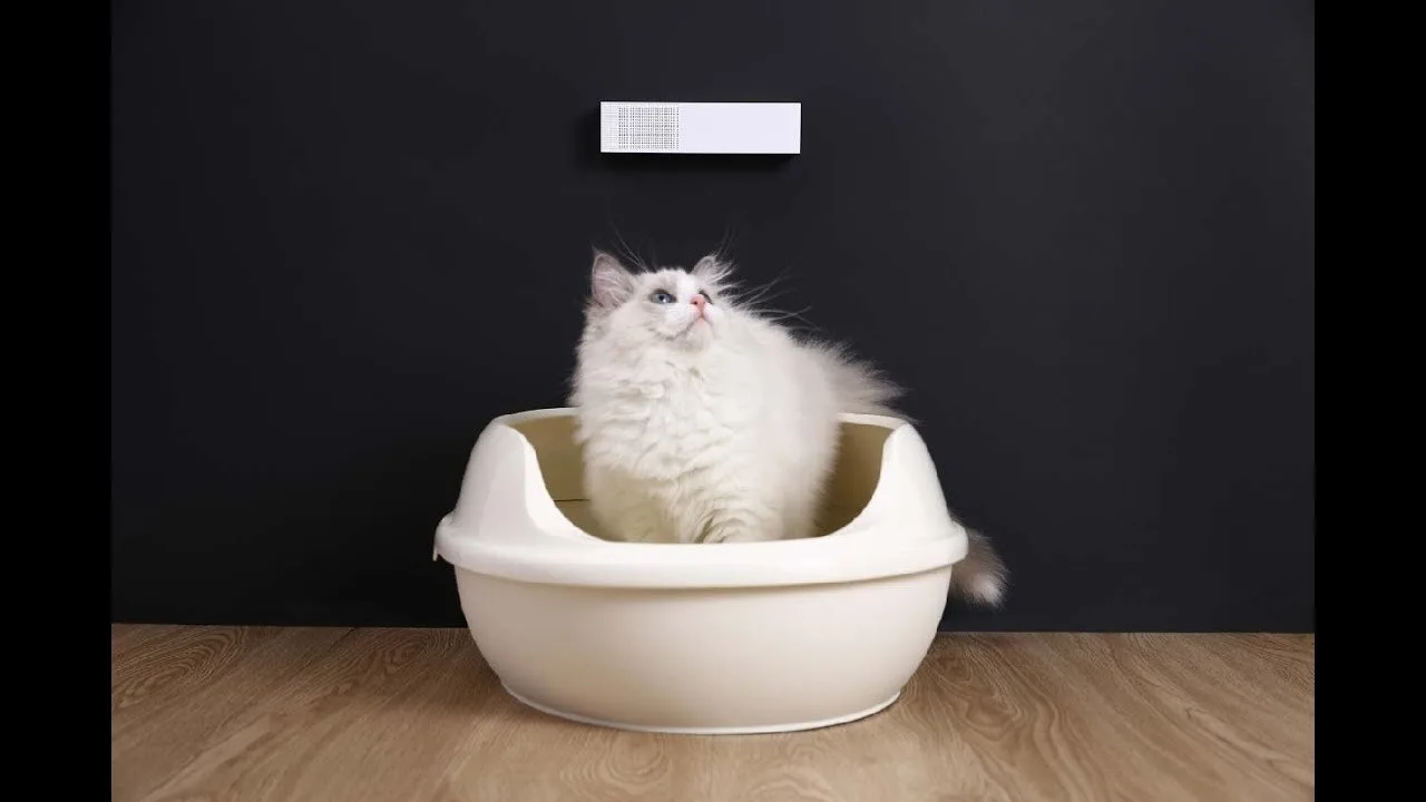 Petkit Pura Air Smart Odor Eliminator Air Purifier