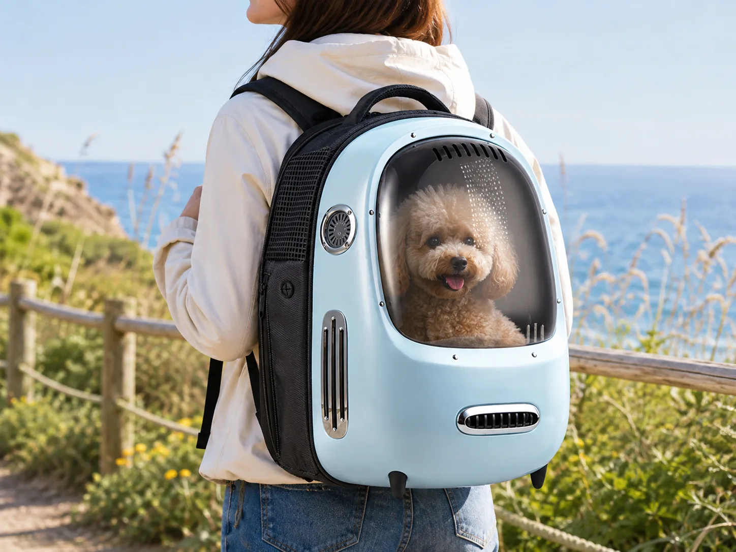 Petkit Breezy Smart Cat Carrier-Tiffany Blue