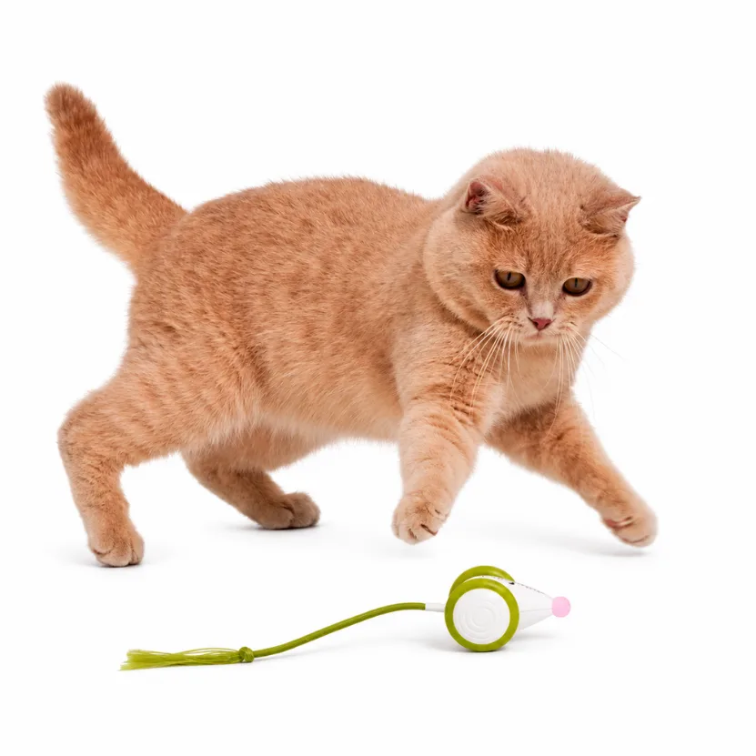 Игрушка для кошек Cheerble Wicked Mouse Neo Зелёный