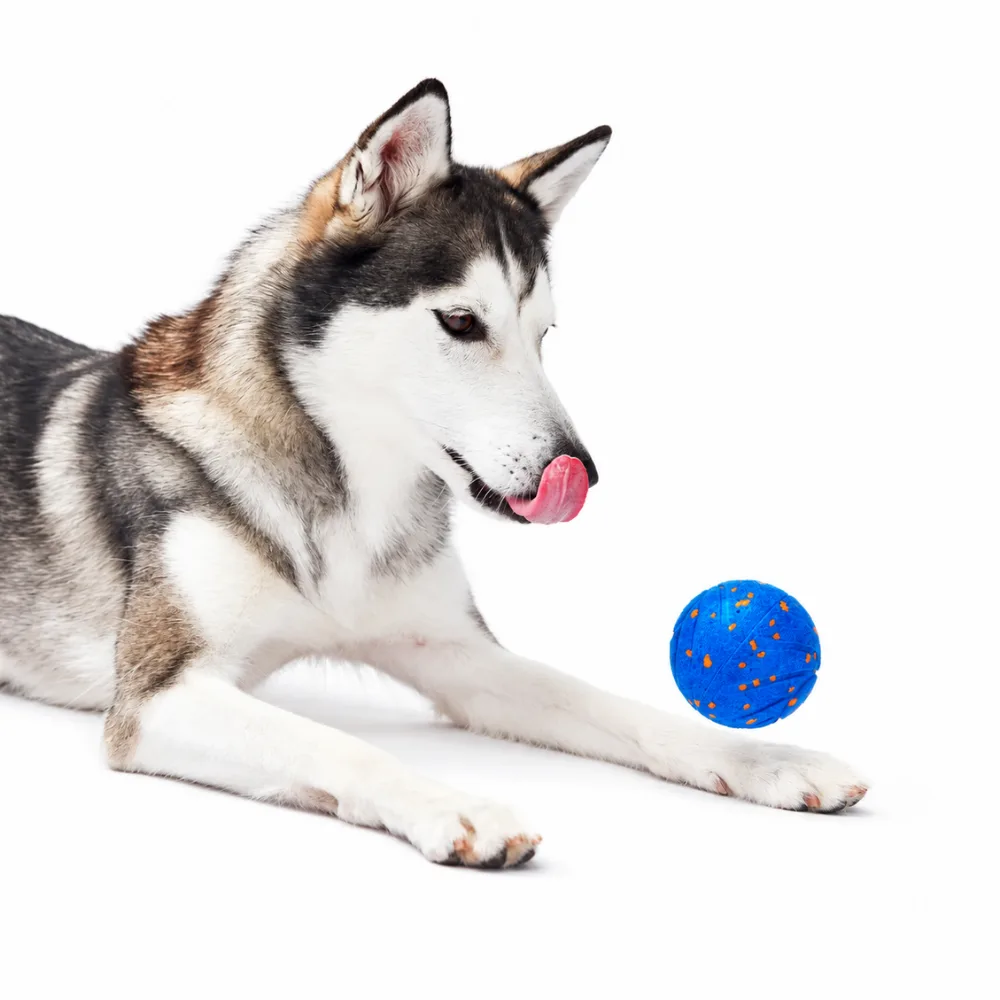 Интерактивный мяч Cheerble Wicked Ball Air, королевский синий